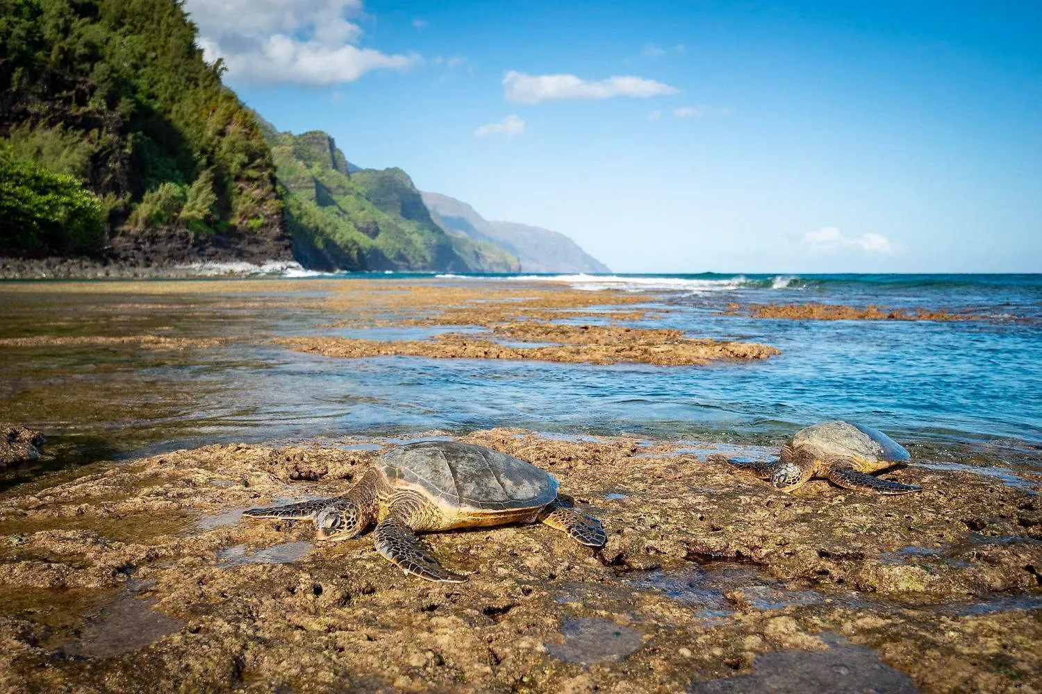 Waipouli Beach Resort G101 Kapa'a United States